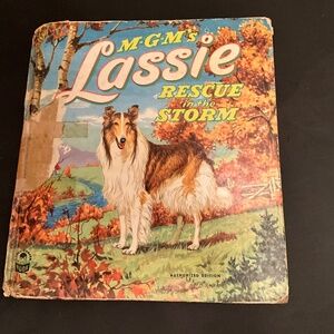 Lassie Rescue in the Storm, A Cozy Corner Book #203925